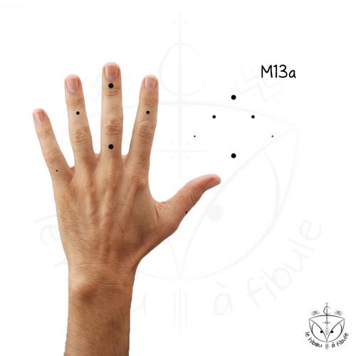 M13a